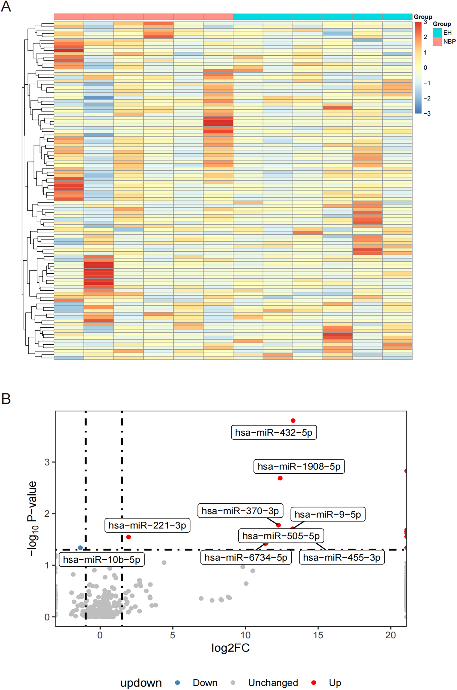 Heatmap and volcano plot displaying miRNA expression data. \n\nPanel A: Heatmap shows miRNA expressions across samples, with red indicating higher expression and blue lower. Two groups, EH and NBP, are represented in the sidebar.\n\nPanel B: Volcano plot illustrates miRNA differential expression, with log fold changes on the x-axis and negative log p-values on the y-axis. Highlighted miRNAs are labeled, with red dots indicating upregulated and blue downregulated features.
