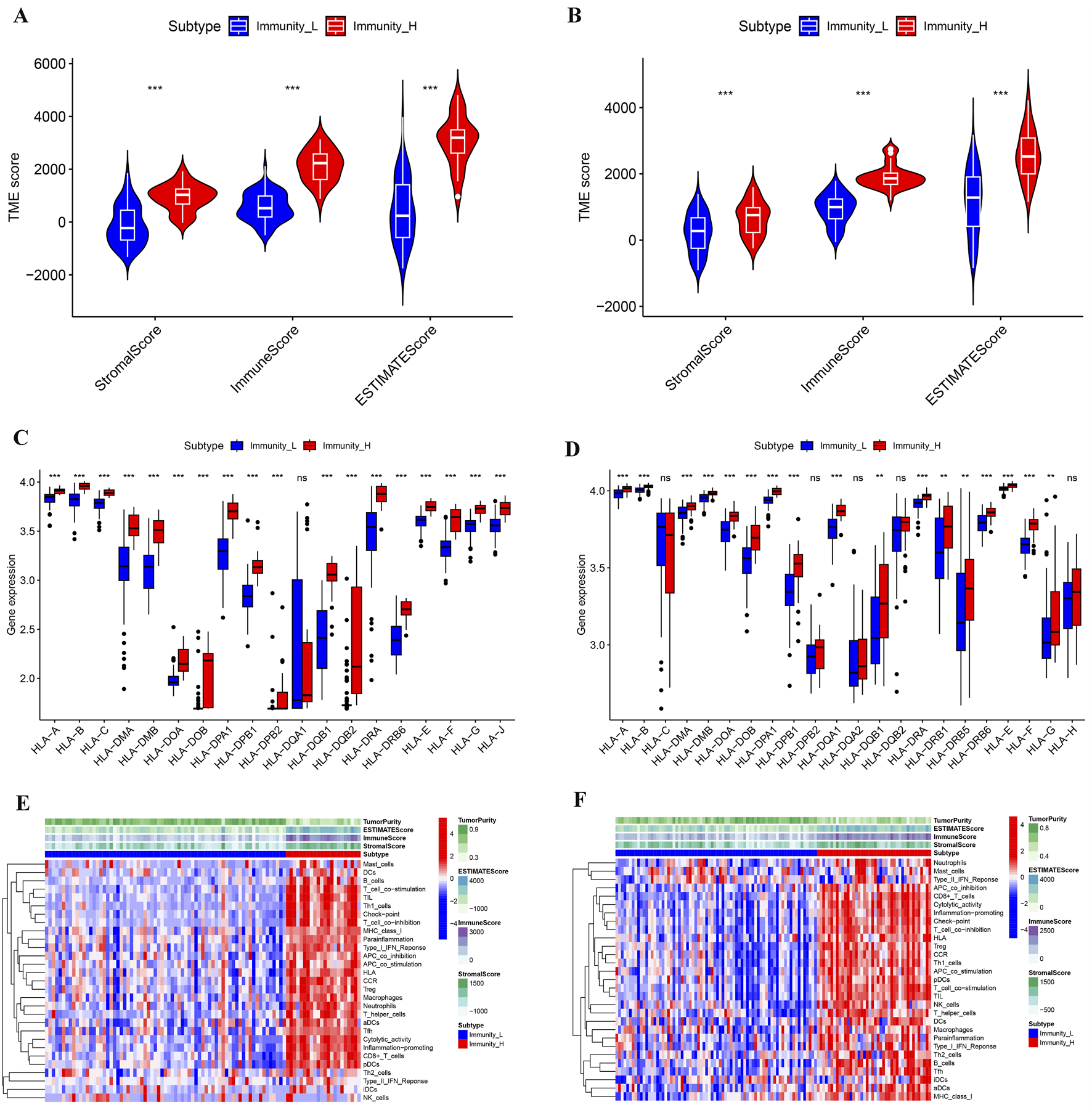 Panel A displays violin plots comparing TME scores (StromalScore, ImmuneScore, ESTIMATEScore) for Immunity_L and Immunity_H subtypes. Panel B shows similar plots under different conditions. Panels C and D contain box plots of gene expression levels for various genes across the two subtypes. Panels E and F feature heatmaps illustrating gene expression patterns, with color scales indicating expression levels and tumor purity. Significant differences are marked with asterisks, and non-significant ones with "ns".