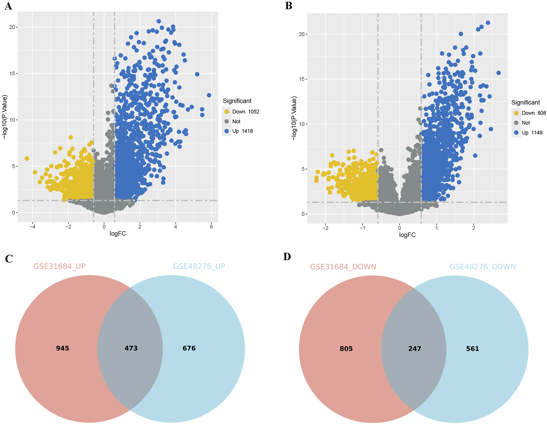 Panel A and B show volcano plots with dots representing gene expression data, differentiated by color: yellow for downregulated, blue for upregulated, and gray for not significant genes. Panel A displays 1,052 downregulated and 1,418 upregulated genes, while Panel B displays 808 downregulated and 1,149 upregulated genes. Panel C is a Venn diagram comparing upregulated genes, showing an overlap of 473 genes between datasets GSE31684 and GSE48276. Panel D is a Venn diagram for downregulated genes, with an overlap of 247 genes between the same datasets.
