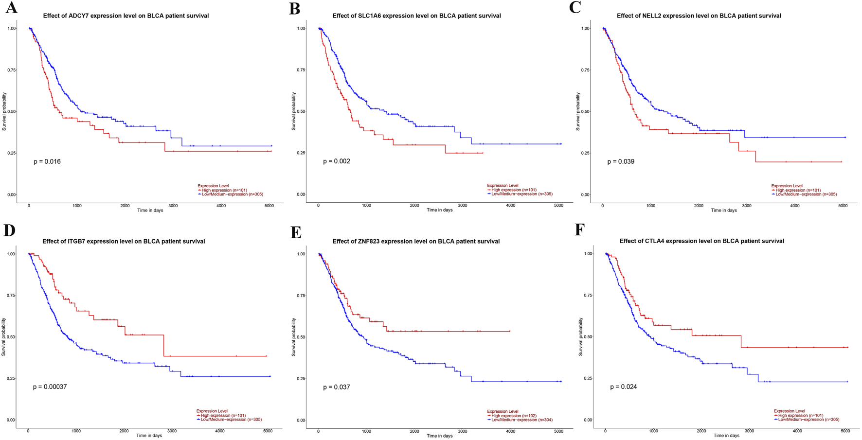 Six Kaplan-Meier survival curves (A-F) show the impact of different gene expression levels on bladder cancer patient survival. Each graph compares high expression (red line, n=101) and low/medium expression (blue line, n=305) over time in days, with p-values indicating statistical significance. Graphs depict the genes: ADCY7 (p = 0.016), SLC1A6 (p = 0.002), NELL2 (p = 0.039), ITGB7 (p = 0.00037), ZNF823 (p = 0.037), and CTLA4 (p = 0.024).