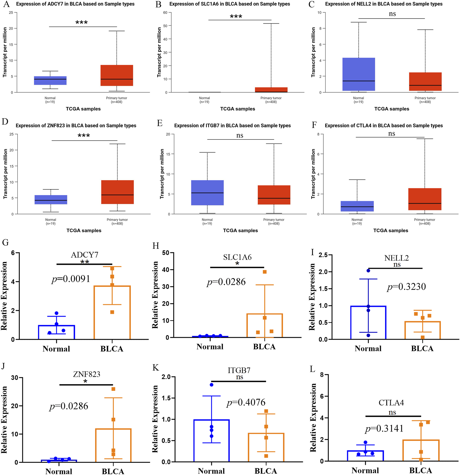 Boxplots A to F and bar graphs G to L show gene expression levels in normal and primary tumor samples. Genes ADCY7, SLC1A6, and ZNF823 (panels A, B, D, G, H, J) show significant expression differences between sample types, indicated by asterisks and p-values. NELL2, ITGB7, and CTLA4 (panels C, E, F, I, K, L) show no significant differences. Vertical axes represent transcript or relative expression levels; horizontal axes display sample types, with specific p-values noted for statistical significance.