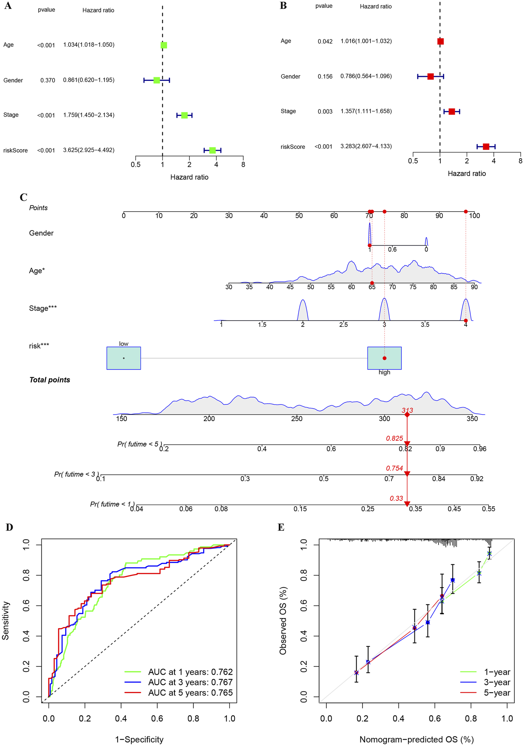 Panel A and B show forest plots of hazard ratios for variables like age, gender, stage, and risk score. Panel C features a nomogram predicting survival probabilities. Panel D displays a ROC curve for survival prediction, with AUC values at one, three, and five years. Panel E presents a calibration plot comparing observed versus predicted overall survival at one, three, and five years.