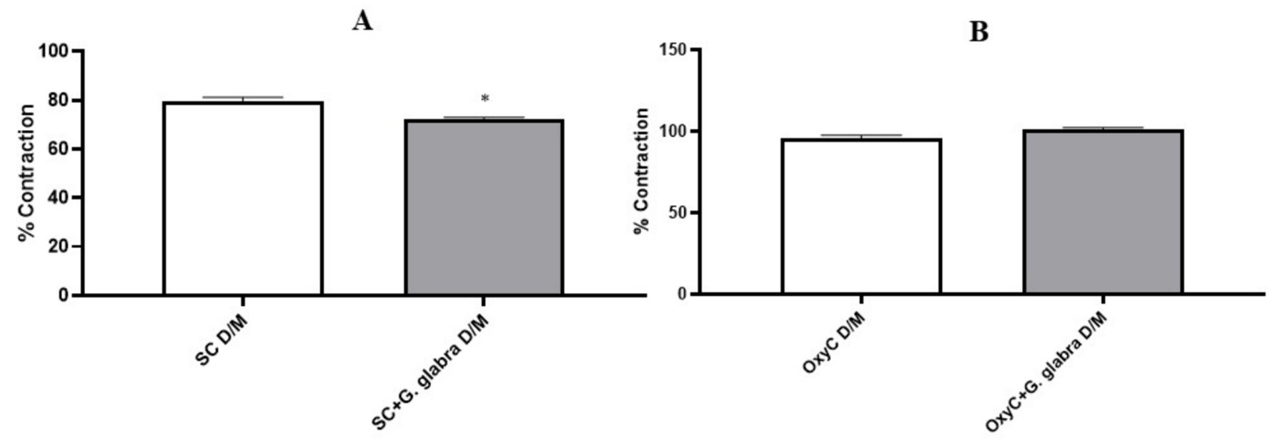 Bar graphs labeled A and B show the percentage of contraction. Graph A compares “SC D/M” and “SC+G. glabra D/M,” with a decrease observed in the latter. Graph B compares “OxyC D/M” and “OxyC+G. glabra D/M,” also showing a decrease for the second. Statistical significance is indicated with symbols in both graphs.