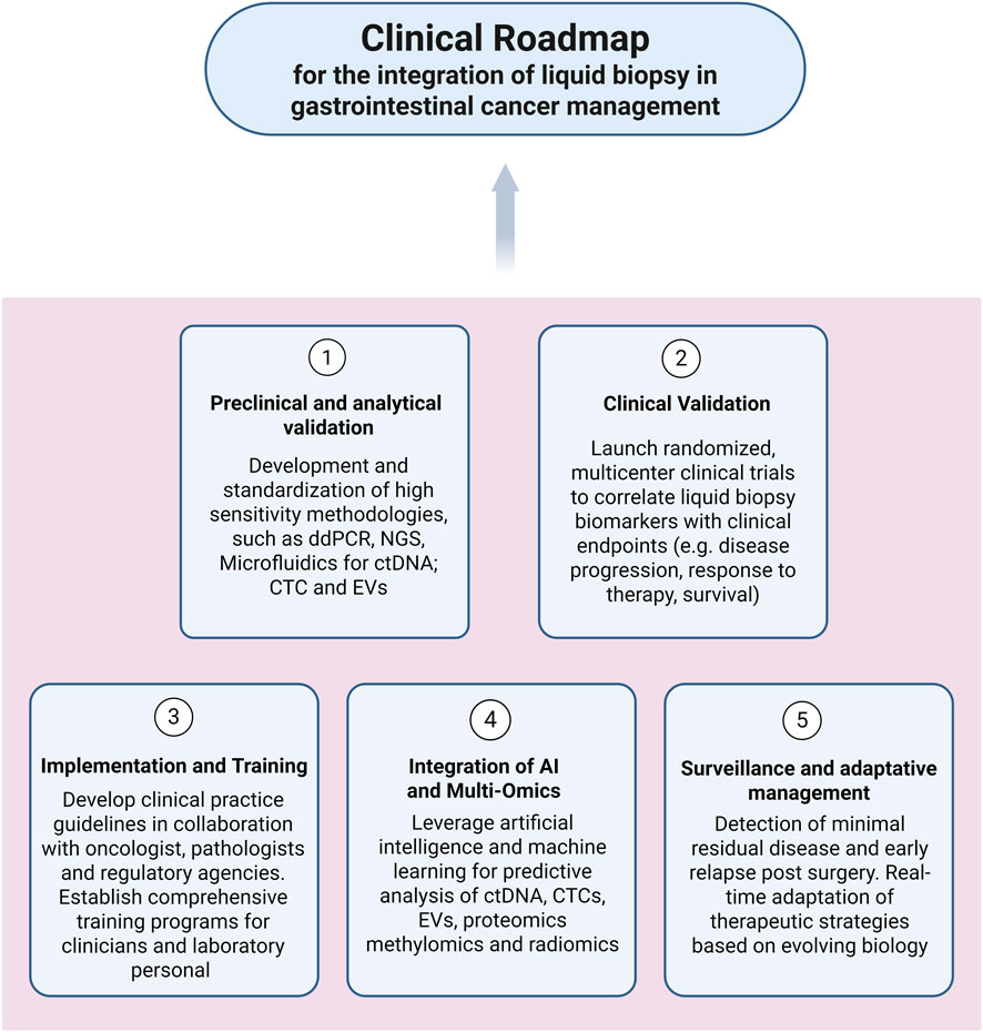 Clinical roadmap diagram for integrating liquid biopsy in gastrointestinal cancer management. It includes five stages: 1) Preclinical and analytical validation, 2) Clinical validation, 3) Implementation and training, 4) Integration of AI and multi-omics, and 5) Surveillance and adaptive management. Each stage details specific methodologies and strategies for progression.