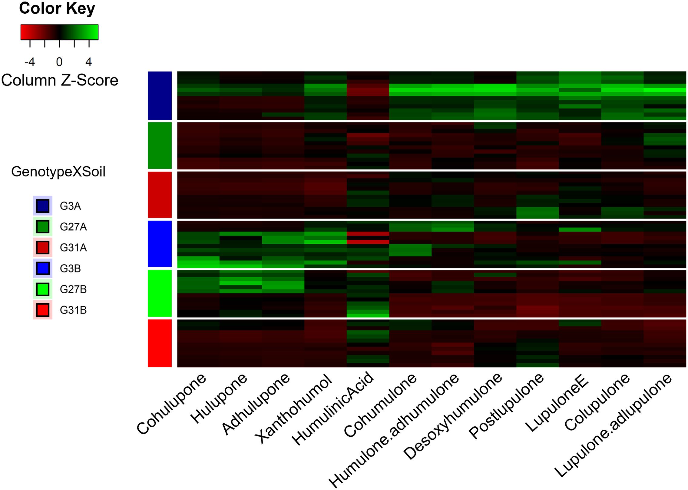 Heatmap displaying the expression levels of various components, represented by colors from red to green. The rows are categorized by Genotype X Soil combinations, including G3A, G27A, G31A, G3B, G27B, and G31B. The columns represent compounds like Cohulupone, Hulupone, and Lupulone. A color key indicates the Column Z-Score ranging from -4 in red to 4 in green, indicating relative expression levels.