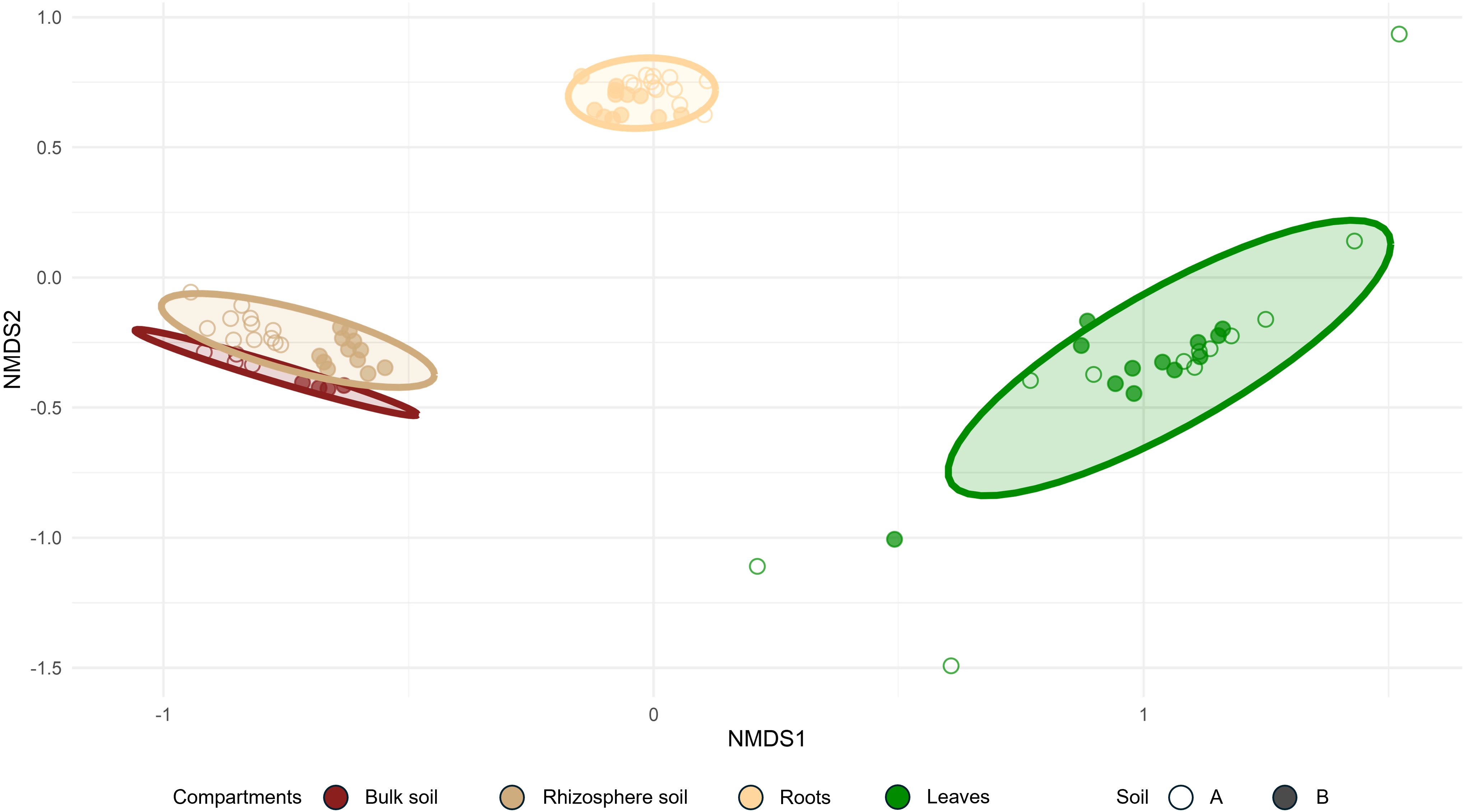 NMDS plot depicting NMDS analysis with two axes, NMDS1 and NMDS2. Data points in four groups: bulk soil in red, rhizosphere soil in light brown, roots in orange, and leaves in green. Each group forms an elliptical cluster, with leaves showing the furthest separation. A legend identifies compartment colors and soil type indicators, A and B.