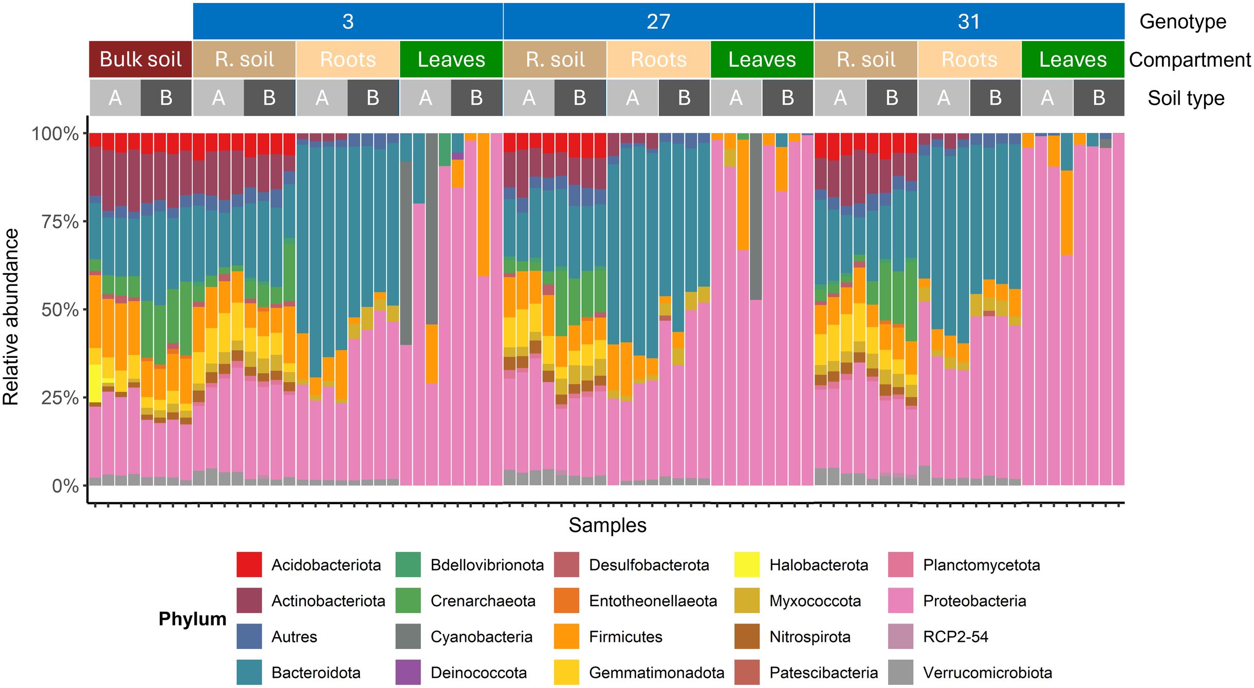 Stacked bar chart showing the relative abundance of various bacterial phyla across samples. The chart is divided by genotype and compartment: bulk soil, rhizosphere soil, roots, and leaves, with different soil types (A and B). Phyla are color-coded with Proteobacteria being the most prevalent, along with others like Proteobacteria and Bacteroidota.