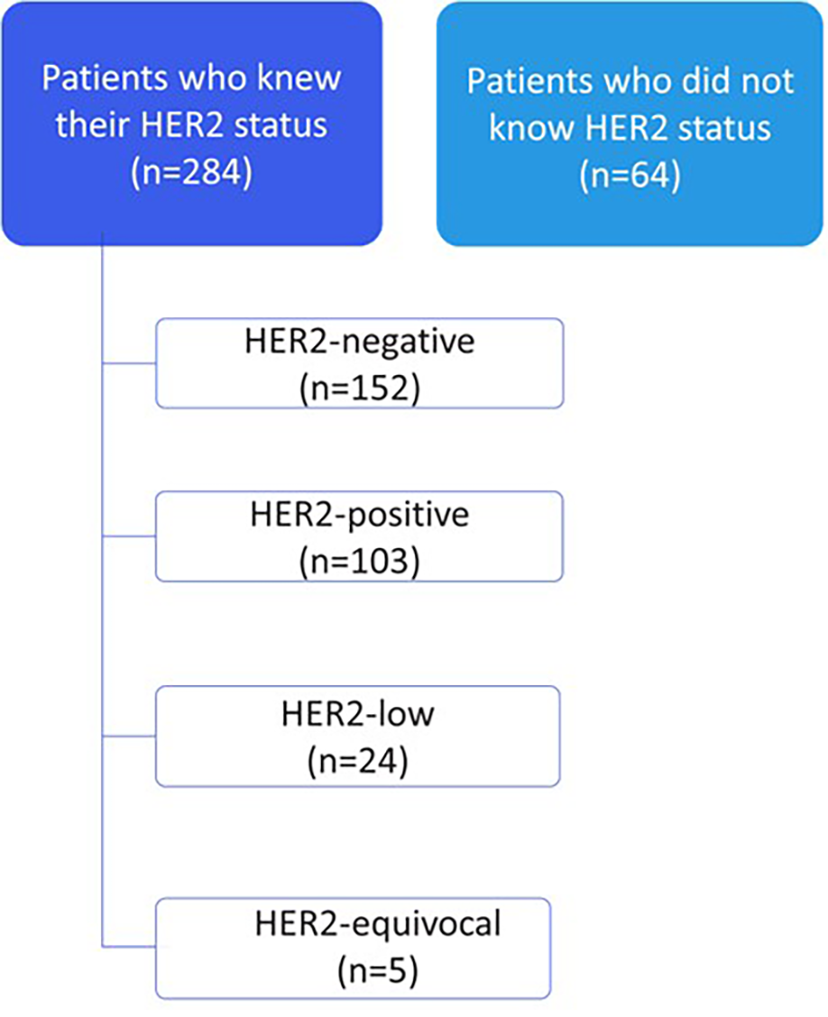 Flowchart illustrating HER2 status knowledge among patients. Two groups are shown: 284 patients knew their HER2 status; 64 did not. The first group is further divided into HER2-negative (152 patients), HER2-positive (103), HER2-low (24), and HER2-equivocal (5).