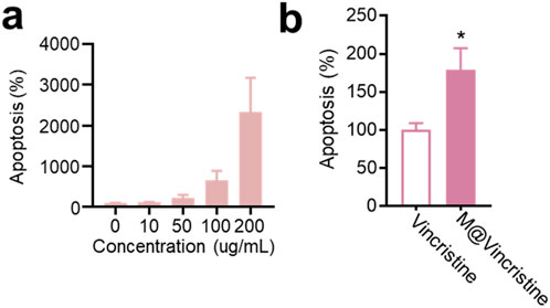 Two bar graphs labeled 'a' and 'b' compare apoptosis percentages. Graph 'a' shows increasing apoptosis with higher concentrations (0 to 200 micrograms per milliliter). Graph 'b' compares apoptosis in Vincristine and M@Vincristine, with M@Vincristine showing a higher apoptosis percentage marked with an asterisk.
