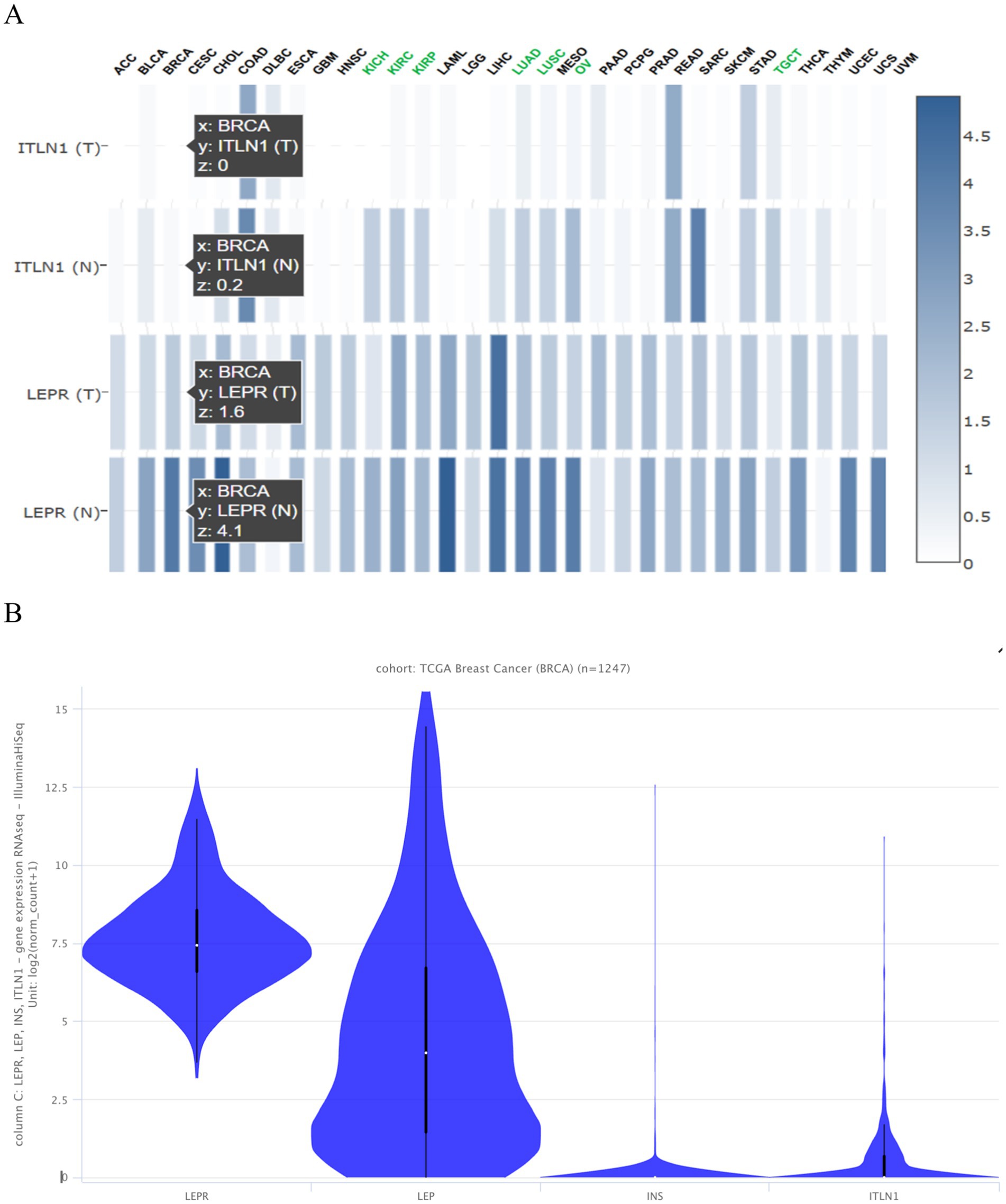 Panel A shows a heatmap highlighting gene expression across different cancer types, with BRCA emphasized in the interactive boxes showing expression levels of ITLN1 and LEPR. Color gradient indicates expression levels. Panel B presents a violin plot of LEPR, LEP, INS, and ITLN1 gene expression in the TCGA breast cancer cohort, detailing distribution and density, showing notable variations in gene expression across the samples.