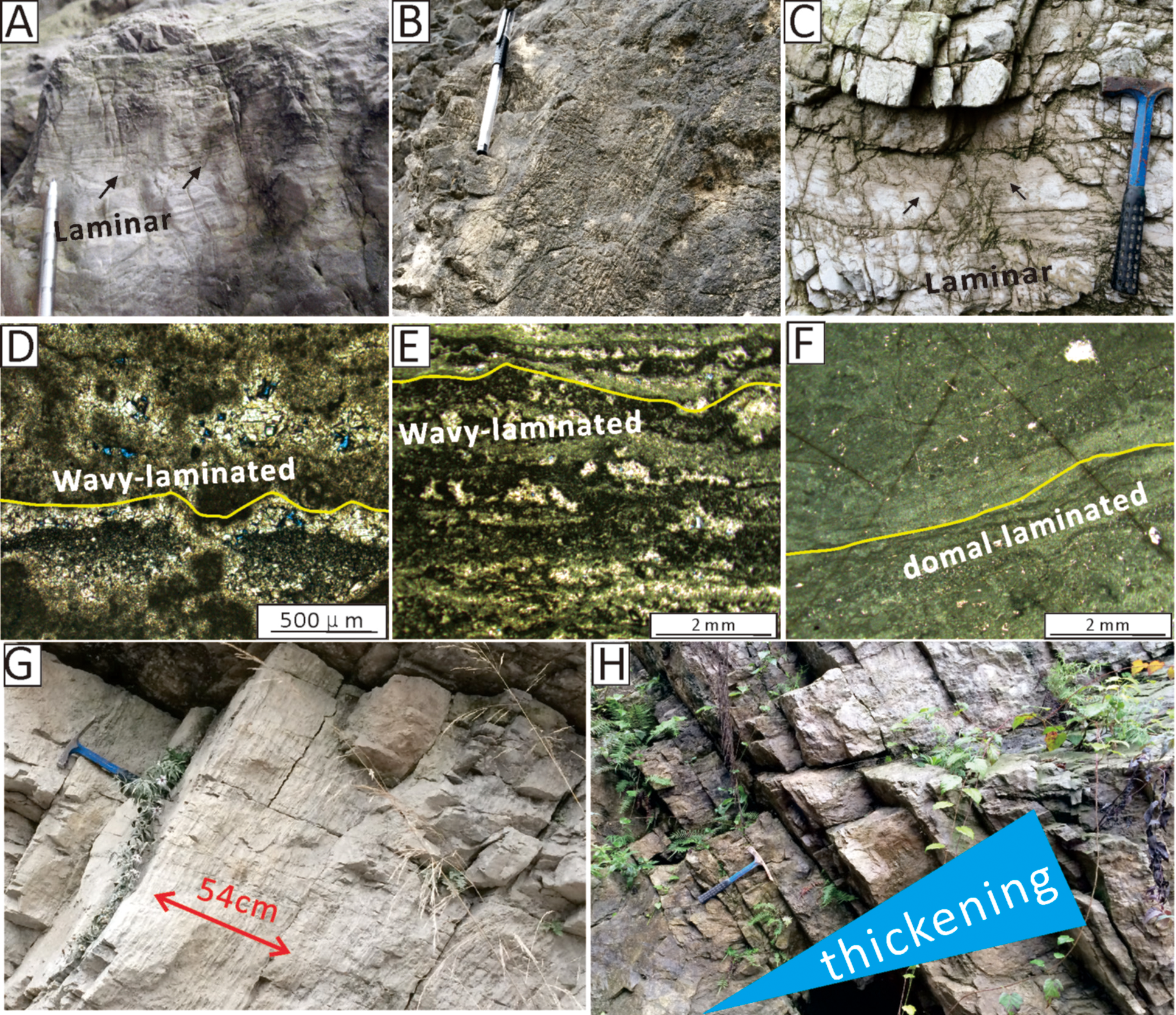 Panel of geological images showing different rock structures. (A) and (C) display laminar layers with arrows and scale references. (B) features a rock surface with a tool for scale. (D) and (E) show wavy-laminated structures, highlighted with yellow lines. (F) demonstrates domal-laminated texture with a marked line. (G) presents a rock section with a measurement of fifty-four centimeters, indicated in red. (H) highlights a thickening formation in a rock seam, marked with a blue triangle.