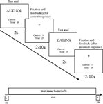 www.frontiersin.org