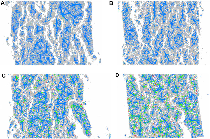 Four panels labeled A, B, C, and D display complex, abstract configurations in blue and grey. Panels C and D include additional green and multicolored elements, suggesting varied data overlays or mapping within the consistent blue structures.