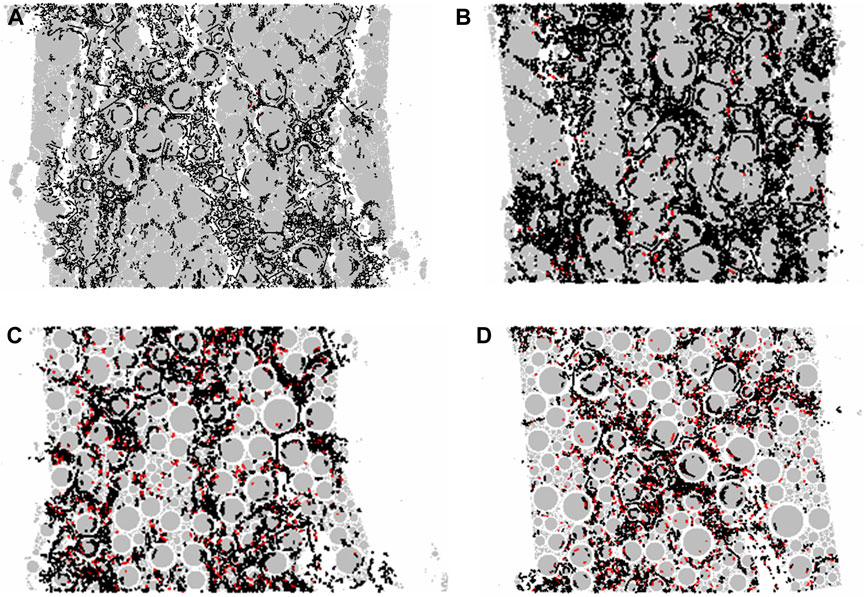 Four grayscale images labeled A, B, C, and D show particle-like structures in varying densities. Each image contains black outlines and scattered red dots overlaying a background of gray circles, differing in size and distribution.