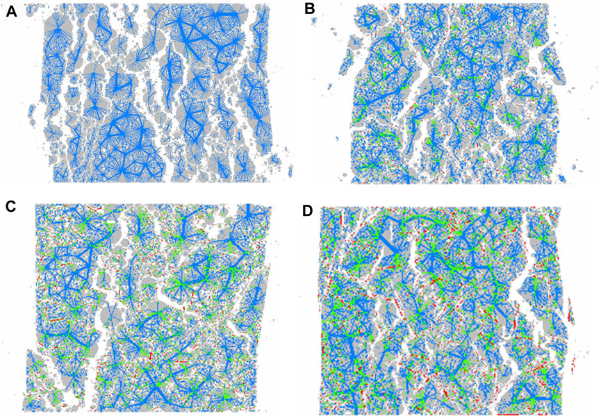 Diagram with four sections labeled A to D, displaying abstract patterns. Blue triangular shapes overlay a grey background with scattered green, red, and white dots. Variations in density and pattern complexity are visible in each panel, highlighting differences in distribution and arrangement across the sections.