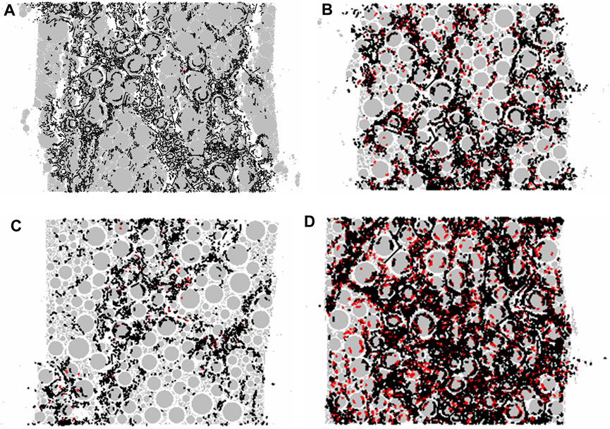 Four grayscale images labeled A to D show patterns of overlapping circles and irregular black shapes. Red highlights accentuate some features. Each image varies slightly in texture with differences in circle sizes and distribution patterns.