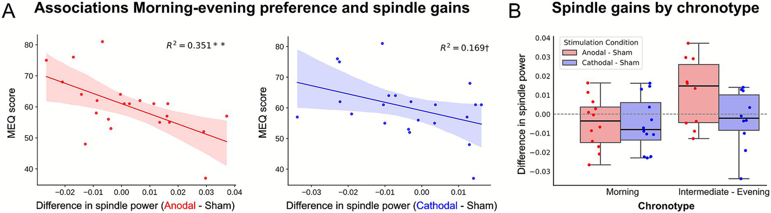 Graph A shows the negative correlation between MEQ score and spindle power difference, with R-squared values of 0.351 for anodal-sham and 0.169 for cathodal-sham. Graph B displays box plots of spindle power differences by chronotype for both stimulation conditions, highlighting variations across morning, intermediate, and evening types. Red represents anodal-sham and blue represents cathodal-sham.