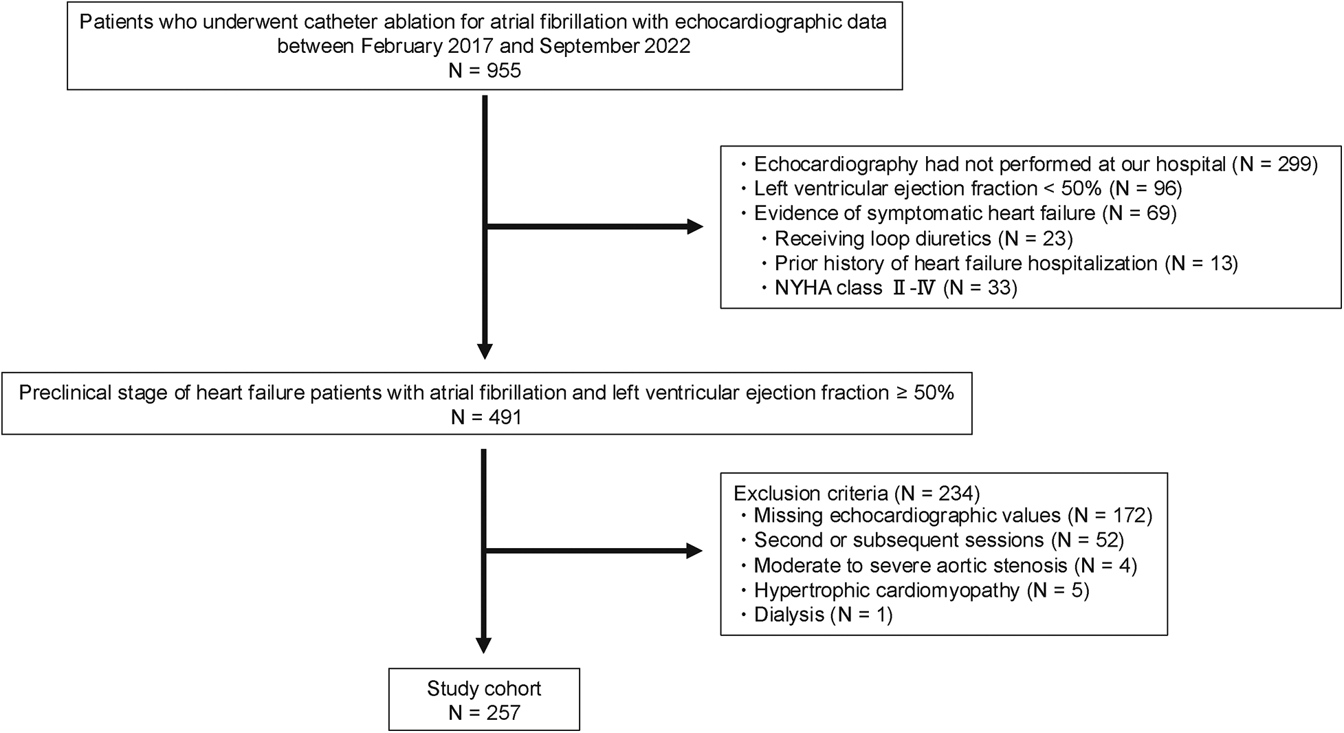 Flowchart depicting patient selection for a study. Initially, 955 patients underwent catheter ablation for atrial fibrillation. After exclusions due to factors like lack of echocardiography and symptomatic heart failure, 491 preclinical heart failure patients with ejection fraction ≥ 50% were identified. Further exclusions led to a study cohort of 257 patients.