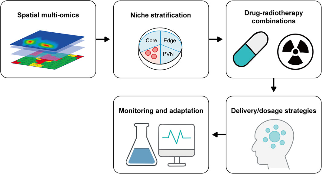 Flowchart illustrating a process involving spatial multi-omics, niche stratification, drug-radiotherapy combinations, monitoring and adaptation, and delivery/dosage strategies. Each step is represented with an icon: spatial data layers, a pie chart with sections labeled Core, Edge, and PVN, a pill and radiation symbol, a flask and computer monitor, and a head with circular patterns. Arrows indicate the sequence from spatial multi-omics through to delivery/dosage strategies.