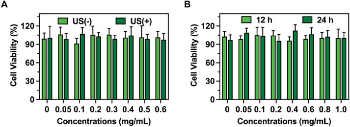 Bar graphs labeled A and B showing cell viability percentages at various concentrations in milligrams per milliliter. Graph A compares US(-) and US(+), while graph B compares 12 hours and 24 hours conditions. The bars indicate cell viability remains high across different concentrations in both graphs.