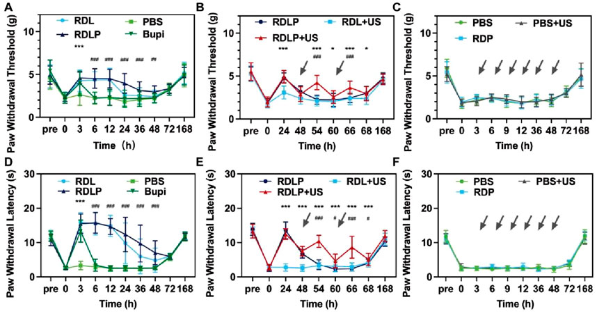 Graphs A to F display paw withdrawal threshold and latency over time in hours for different treatments: RDL, RDLP, RDL+US, RDLP+US, PBS, PBS+US, Bupi, and RDP. Statistical markers indicate significant differences. Each graph includes error bars for standard deviation. Threshold measurements are in grams, and latency in seconds.