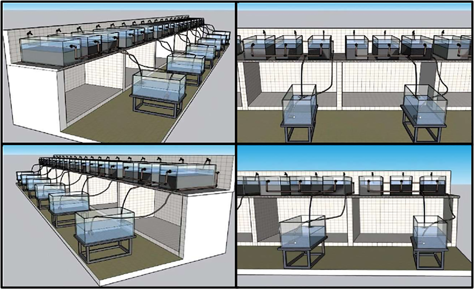 Illustration showing a fish tank system with multiple tanks arranged on two levels. The top level has smaller tanks connected by pipes, while the bottom level features larger tanks. Each setup is shown from different angles.