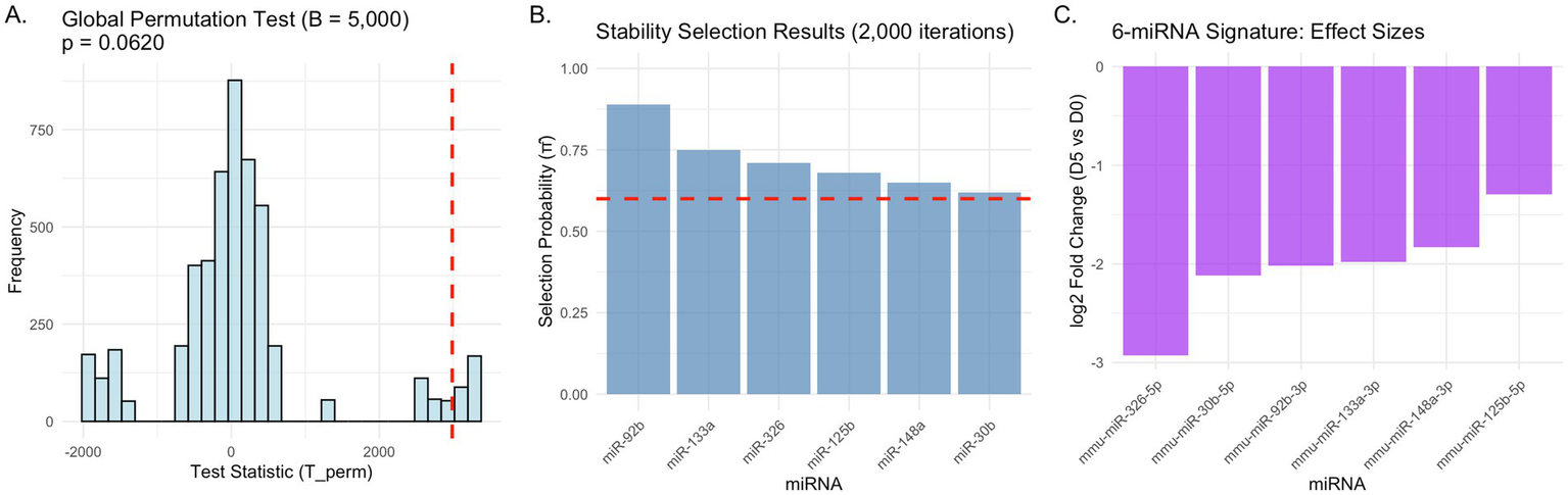 Panel A presents a histogram from a global permutation test with a p-value of 0.0620. Panel B shows a bar chart of stability selection results with miRNAs and selection probabilities. Panel C displays a bar chart depicting log2 fold change effect sizes for six miRNAs.