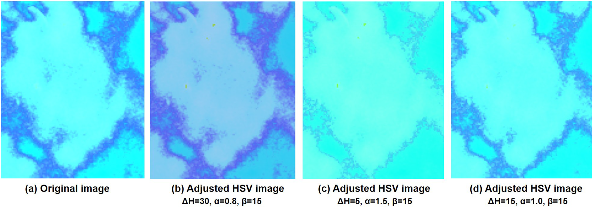 Comparison of the HSV images and after adjusting the different values of Hue, Saturation, and Value at different adjusted parameters. (a) is the original HSV converted image; (b-d) are adjusted HSV images at different parameter settings.