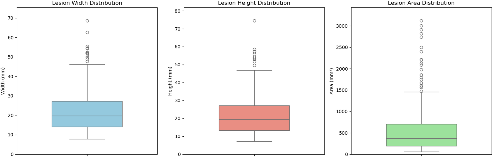 Three box plots display distributions of lesion measurements. The first shows lesion width in millimeters, the second shows height, and the third shows area in square millimeters. Each plot includes median lines, interquartile ranges, whiskers, and outliers. The width and height plots have similar ranges, while the area plot displays a wider range with more outliers.