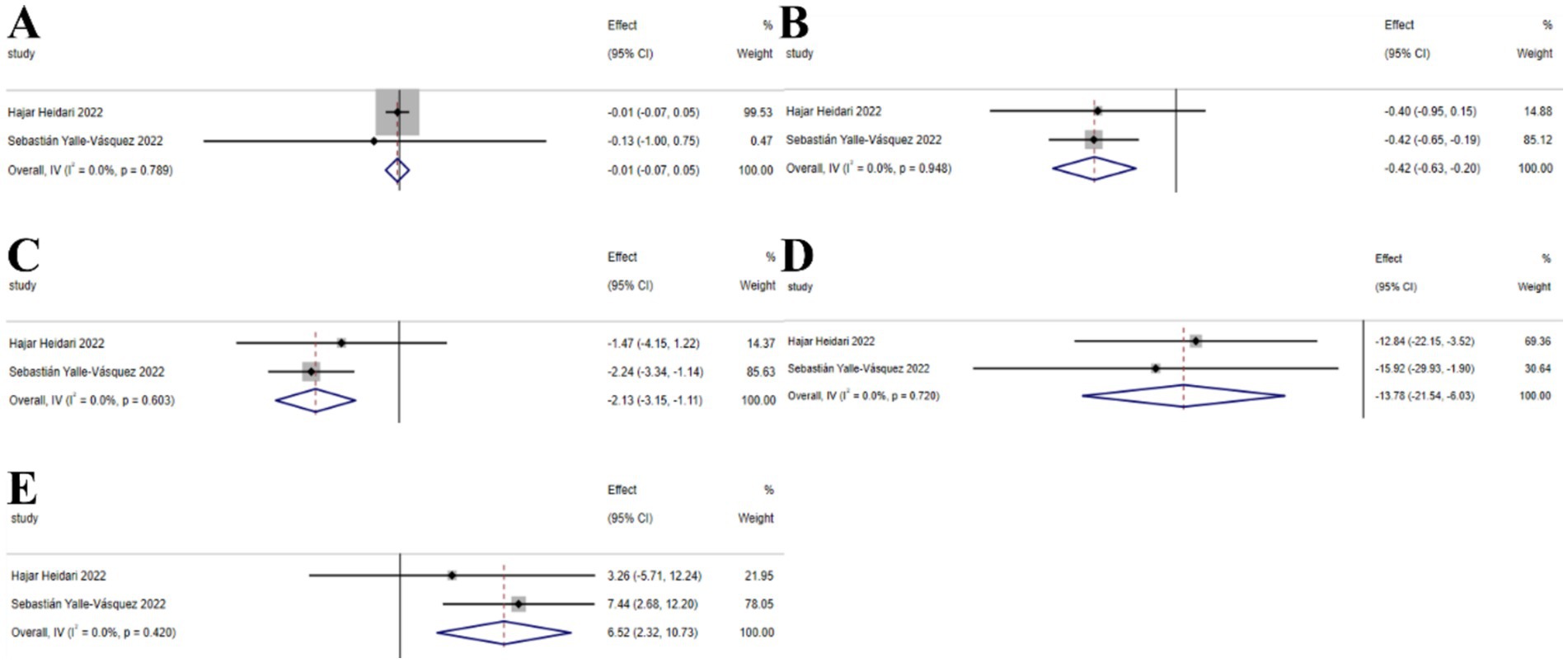 Five forest plots labeled A to E, show effect sizes and confidence intervals from studies by Hajar Heidari 2022 and Sebastián Yalle-Vásquez 2022. Each plot includes individual study results with effect sizes, confidence intervals, and percentage weights, along with overall combined results. Plots A and B have effects close to zero, while C and D show larger negative effects. Plot E indicates a positive effect. Overall calculations include heterogeneity statistics with I-squared values equal to zero percent.