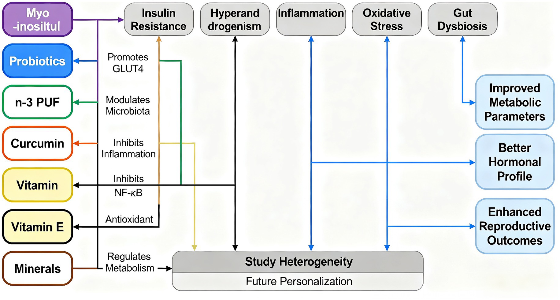 Flowchart illustrating relationships between various supplements and health outcomes. Myo-inositol, probiotics, n-3 PUF, curcumin, vitamins, and minerals influence insulin resistance, hyperandrogenism, inflammation, oxidative stress, and gut dysbiosis. Each supplement has specific effects, such as promoting GLUT4 or inhibiting inflammation. Improved metabolic parameters, hormonal profiles, and reproductive outcomes are shown at the end. Study heterogeneity and future personalization are highlighted.