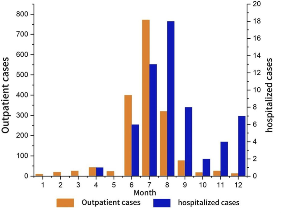 Bar chart comparing outpatient and hospitalized cases per month. Orange bars represent outpatient cases, peaking in July at over 700. Blue bars indicate hospitalized cases, peaking in August at 18.