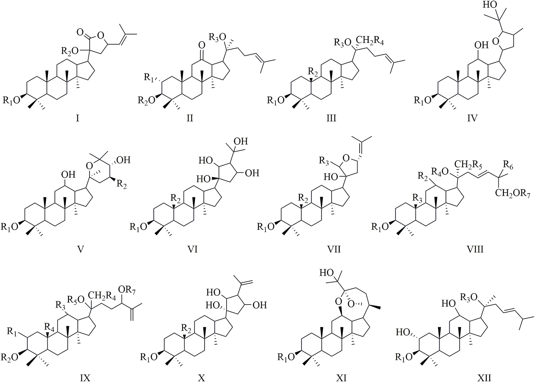 Chemical structures labeled I to XII, representing steroid derivatives with various functional groups. Each structure features a common steroid backbone with modifications such as hydroxyl groups, ketones, and alkenes, denoted by R groups. These variations indicate different potential chemical properties or functions within the series of compounds.