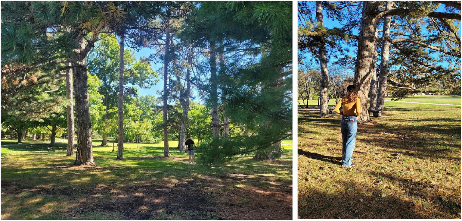 Two images side by side showing people walking through a park with tall trees. In the left image, a person walks away from the camera under the shade of the trees. In the right image, a person wearing a yellow top and jeans walks through a sunlit area. The surroundings are grassy with scattered leaves under the trees.