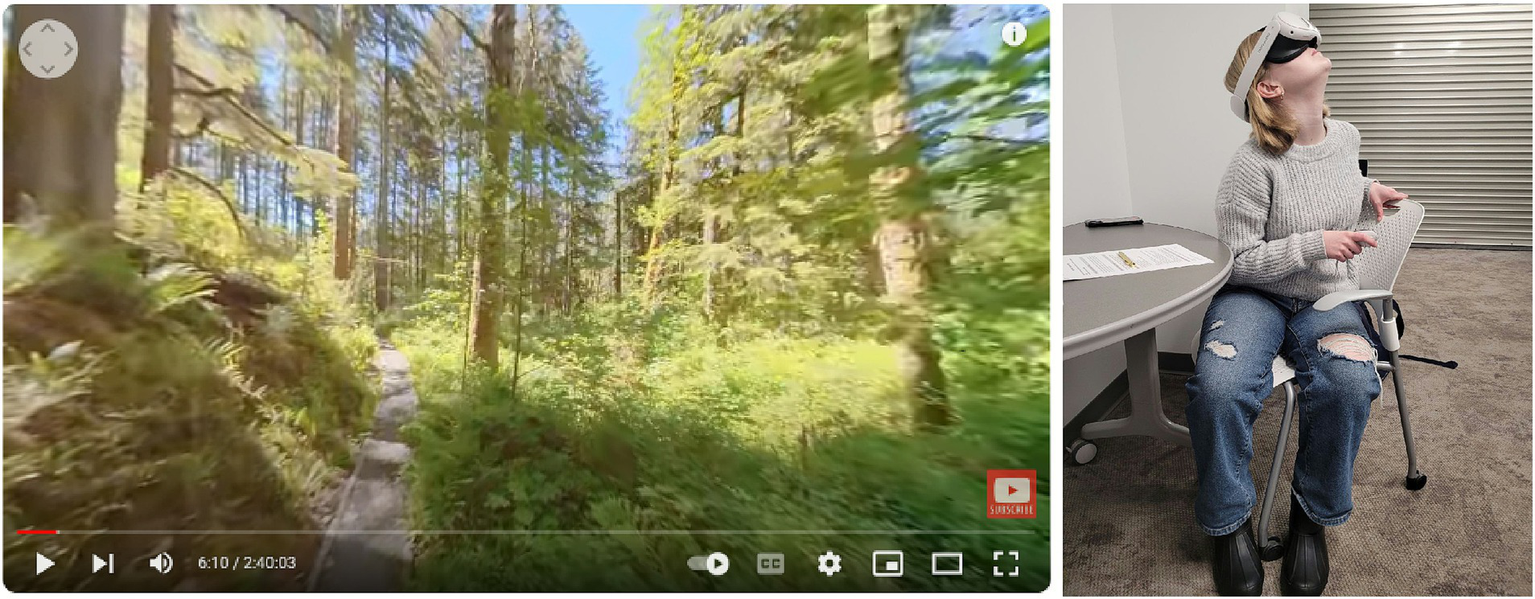 A split image with a forest scene on the left and a person wearing a virtual reality headset on the right. The forest image shows a dense, sunlit forest with a narrow path. The person, seated in an office chair, wears casual attire and appears engaged with the VR experience, holding a controller.