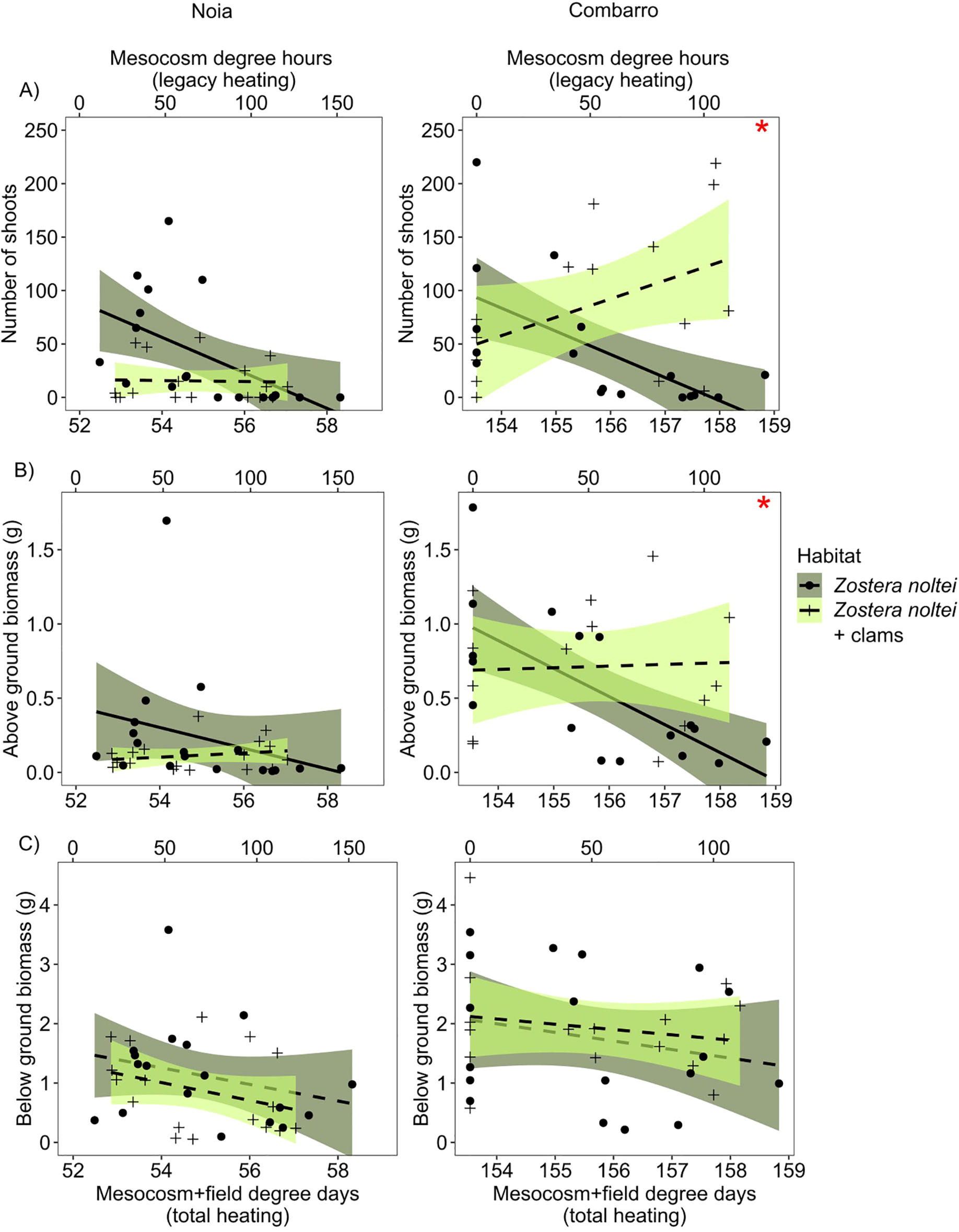 Graph showing three panels (A, B, C) comparing “Noia” and “Combarro” conditions. Each panel includes data on “Number of shoots”, “Above ground biomass”, and “Below ground biomass” against “Mesocosm degree hours” or “Mesocosm+field degree days”. Data points represent “Zostera noltei” with and without clams, shown with different symbols. Trend lines indicate relationships between variables, with shaded confidence intervals. Panels on the left are for “Noia"; those on the right are for “Combarro”. Red asterisks highlight statistical significance.