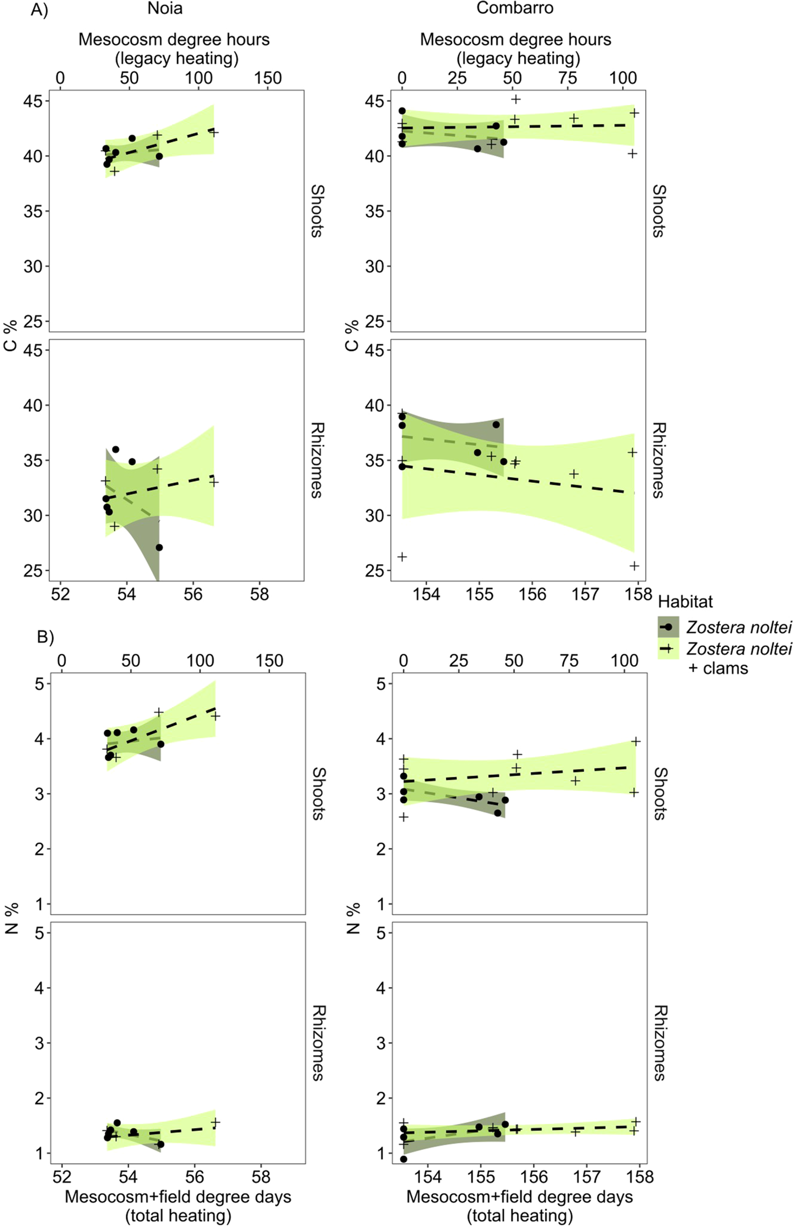 Graphs showing the relationship between temperature and carbon or nitrogen percentage in Zostera noltei shoots and rhizomes. Panel A shows mesocosm degree hours of legacy heating with data from Noia and Combarro. Panel B shows mesocosm and field degree days of total heating. Green shading indicates confidence intervals. The presence of clams is denoted by plus symbols.