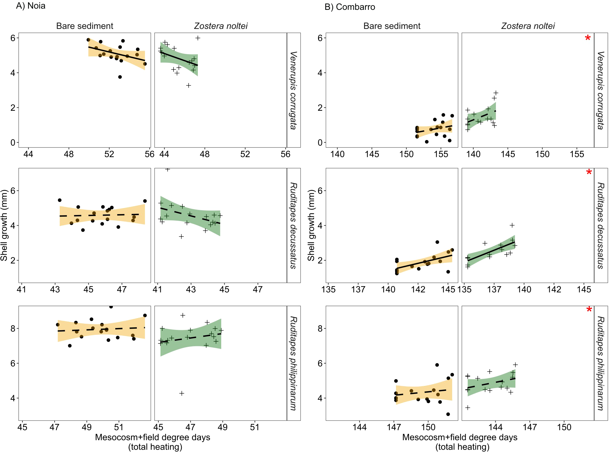 Four panels compare shell growth in response to heating for two species, *Venerupis corrugata* and *Ruditapes decussatus*, in Noia and Combarro environments. The panels show data for bare sediment and *Zostera noltei* habitats. Each plot illustrates a trend line with confidence intervals and data points. The Noia data shows a slight decline or stable growth, while Combarro shows an increase in growth across the measured degree days. Statistical significance is marked with a red asterisk.
