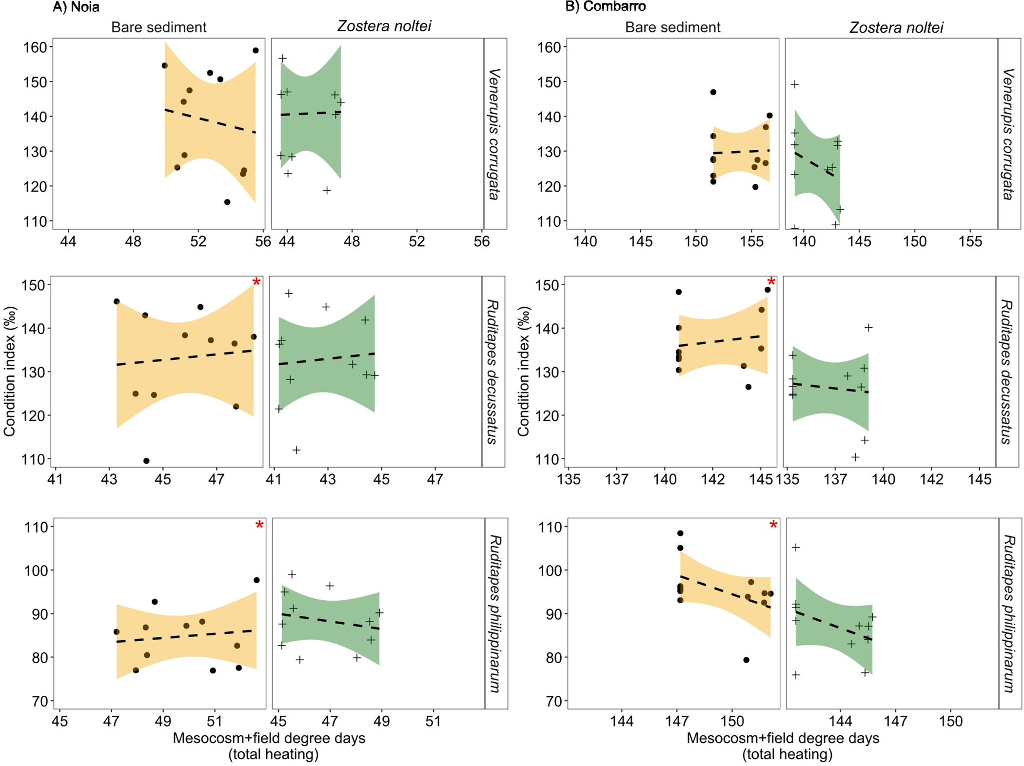 Graphs depict the condition index percentage against mesocosm-field degree days for different species in two areas: Noia and Combarro. Each area has graphs comparing bare sediment and Zostera noltei. Dotted lines indicate trends, with shaded areas showing confidence intervals. Species displayed include Venerupis corrugata, Ruditapes decussatus, and Ruditapes philippinarum. Data points vary, depicting different species condition responses to temperature variations.