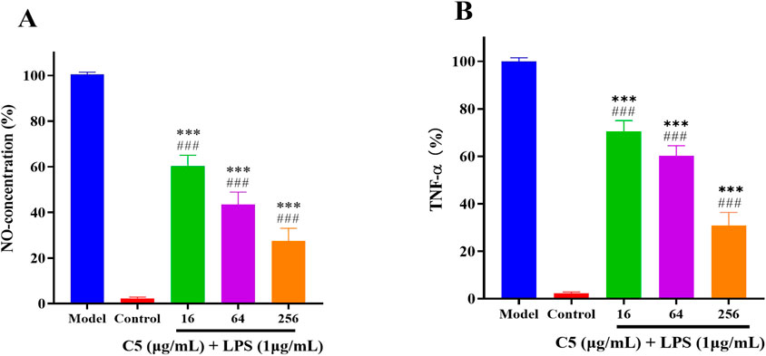Bar graphs labeled A and B show the effects of different concentrations of C5 with LPS on NO concentration and TNF-alpha levels, respectively. Both graphs compare model and control groups with treatments at 16, 64, and 256 micrograms per milliliter. Significant reductions are indicated by asterisks and hashtags, with the highest concentrations showing the most reduction compared to the control.