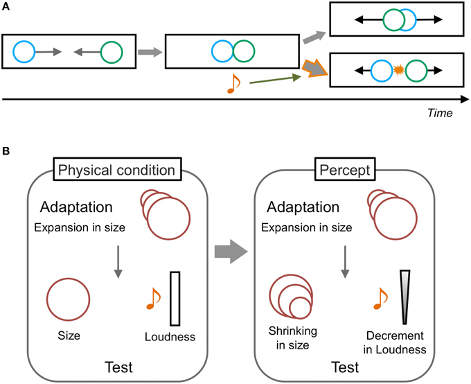 Frontiers | Spatiotemporal Processing in Crossmodal Interactions for ...