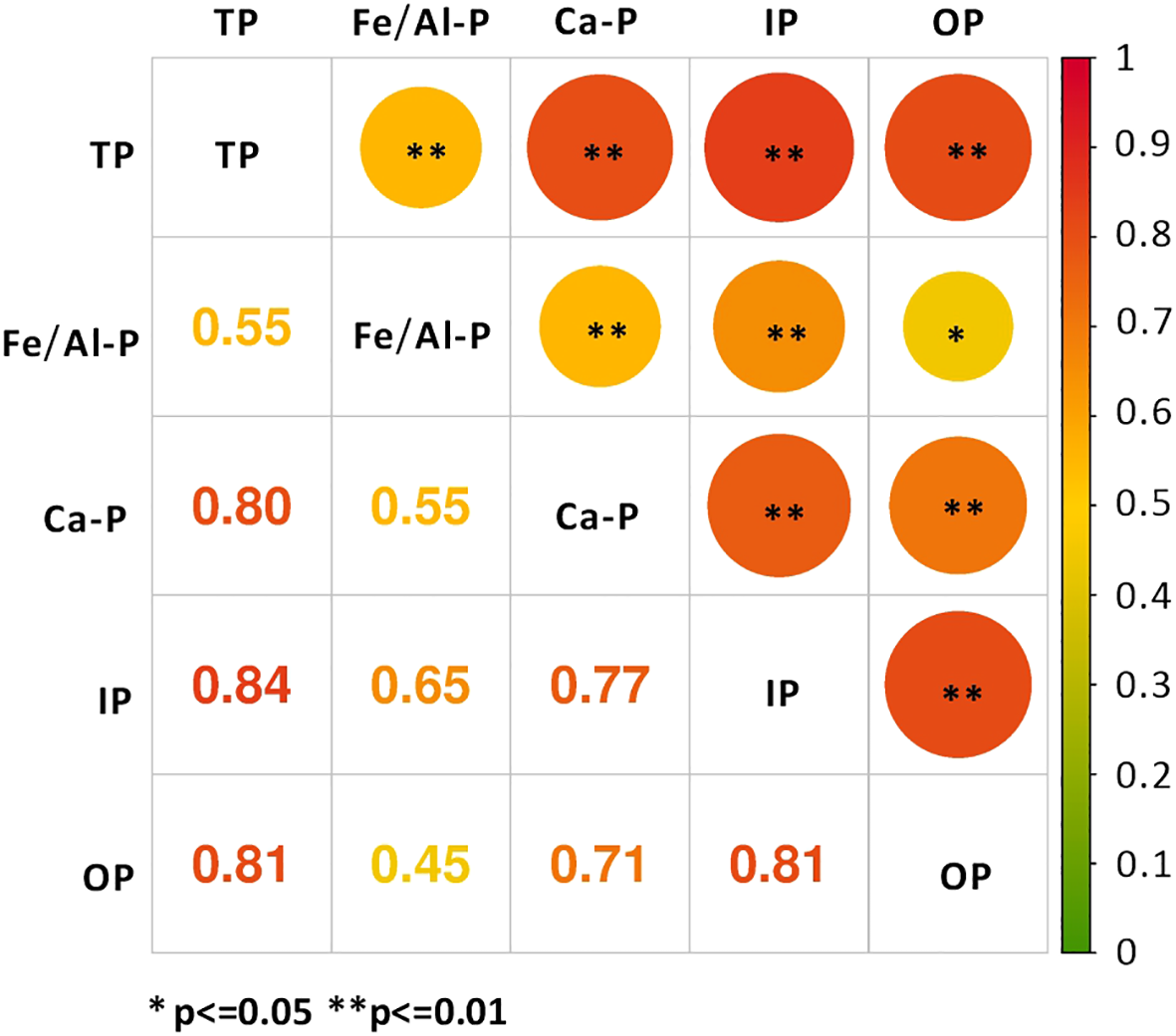Correlation matrix with variables TP, Fe/Al-P, Ca-P, IP, and OP. Circles represent correlation strength and significance. Colors range from green (low) to red (high). Asterisks indicate significance levels: single for p < 0.05 and double for p < 0.01.