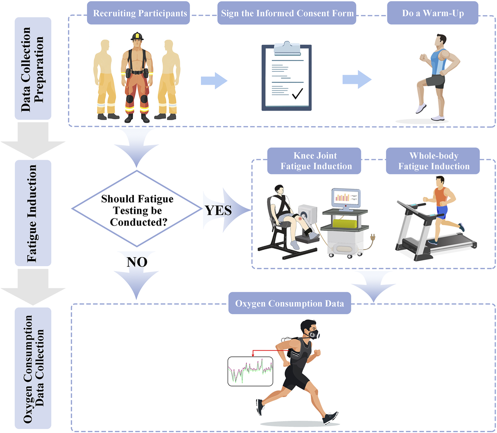 Flowchart depicting a study procedure. Starts with data collection preparation: recruiting participants, signing consent forms, and warm-up exercises. Next is fatigue induction; a decision diamond asks if fatigue testing should be conducted. If yes, options include knee joint or whole-body fatigue induction. Finally, oxygen consumption data is collected. An athlete on a treadmill with data being tracked illustrates this phase.