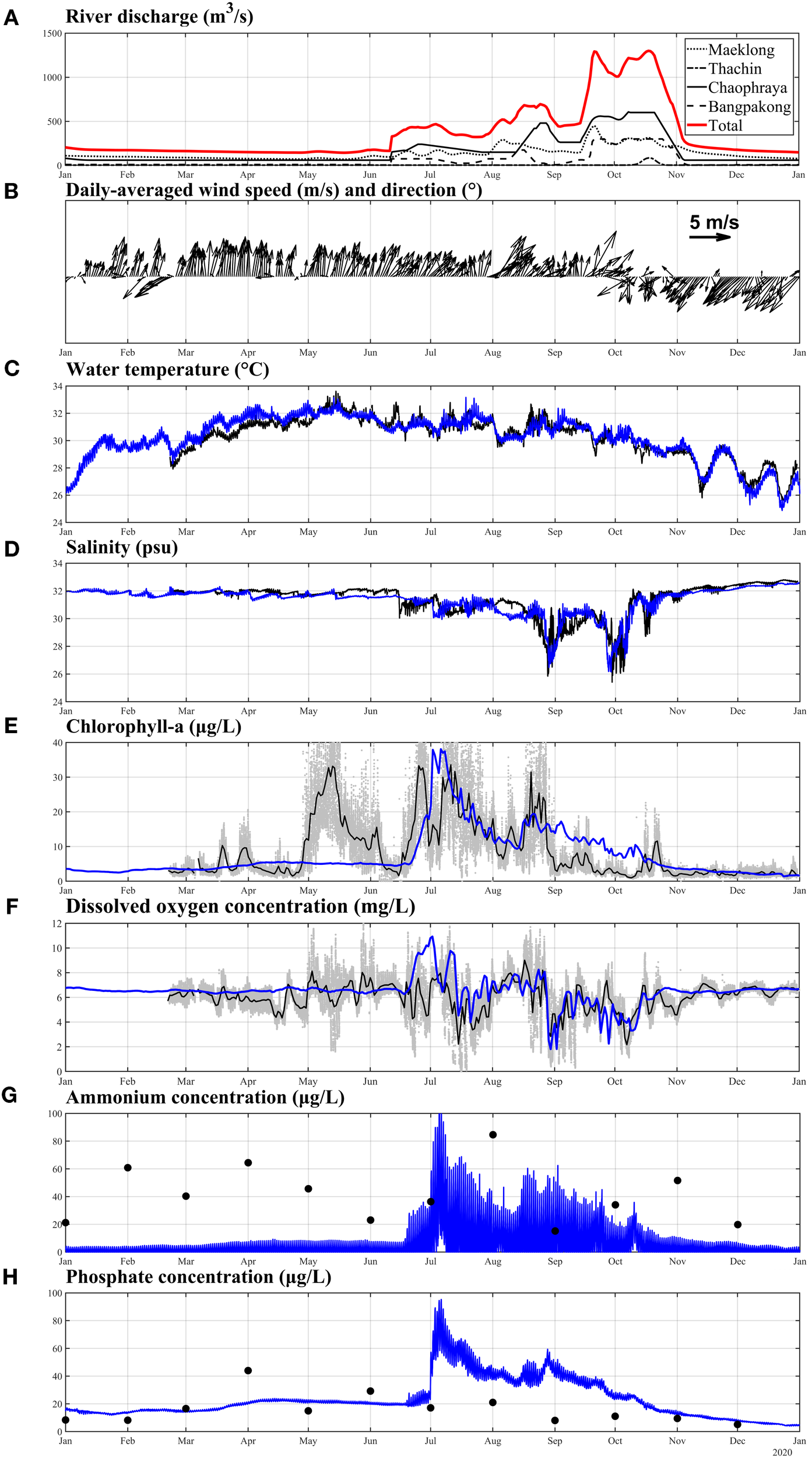 Eight-panel figure showing environmental data over a year. (A) River discharge rates with a focus on peaks in September. (B) Wind speed and direction, represented by arrows. (C) Water temperature with fluctuations from 24 to 34 degrees Celsius. (D) Salinity levels from 24 to 34 PSU, showing occasional drops. (E) Chlorophyll-a concentration peaks mid-year. (F) Dissolved oxygen levels with variability around 5 to 10 mg/L. (G) Ammonium concentration showing peaks in July. (H) Phosphate concentration with a prominent peak around July, then gradually declining. Each graph tracks changes from January to January.