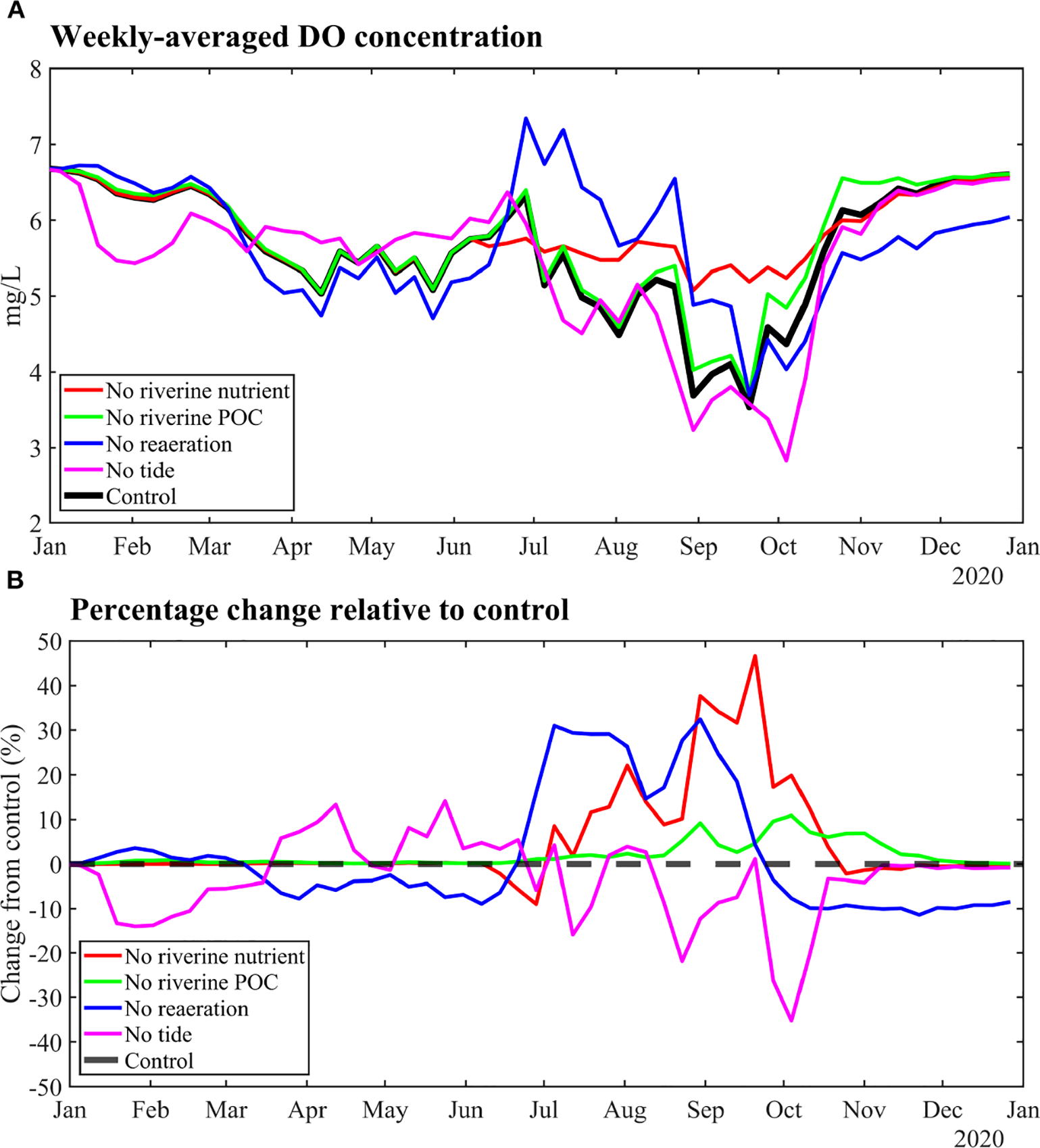 Graph (A) shows weekly-averaged dissolved oxygen (DO) concentration from January 2019 to January 2020, comparing scenarios of no riverine nutrient, no riverine particulate organic carbon (POC), no reaeration, no tide, and a control. Graph (B) depicts the percentage change relative to the control for the same scenarios and time period.