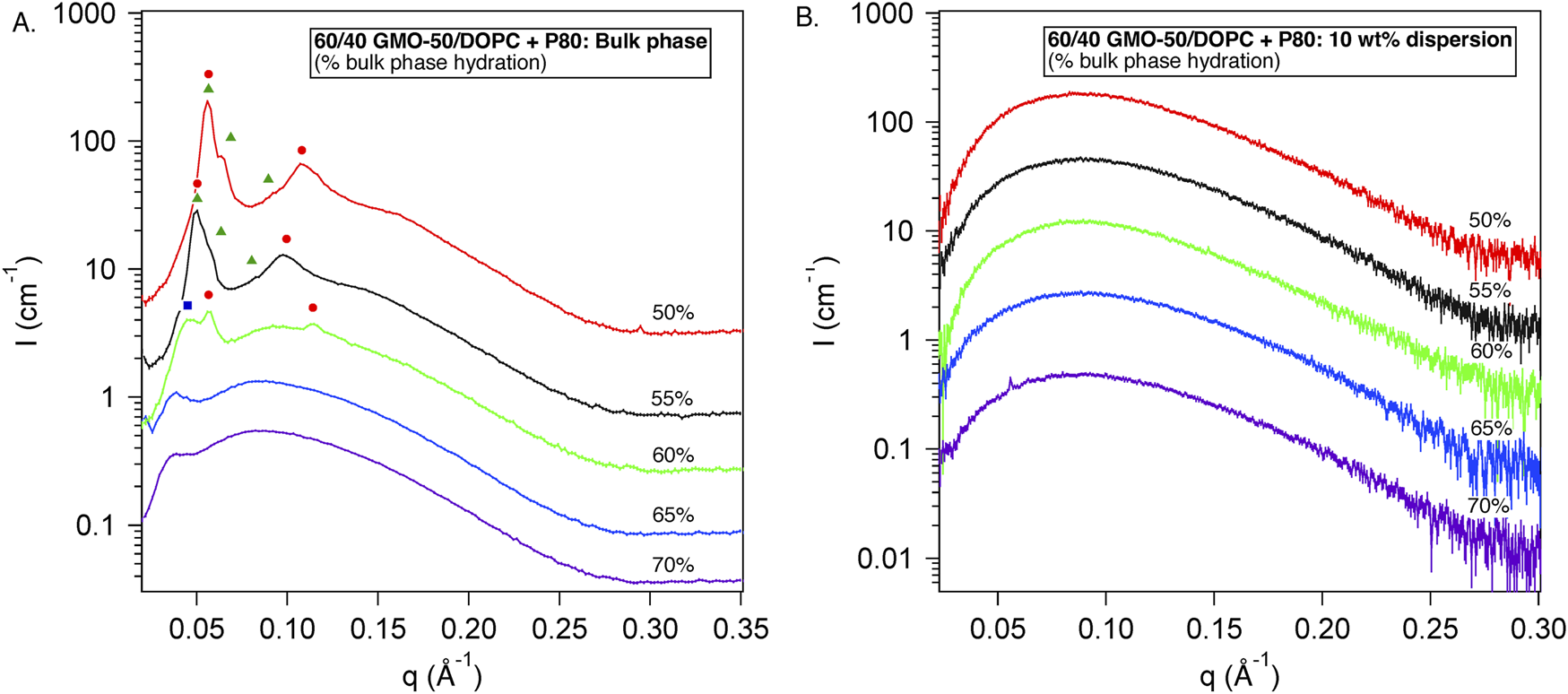 Two graphs display small-angle X-ray scattering intensity (I) against the scattering vector (q) for different hydration percentages. Graph A shows bulk phase hydration from fifty to seventy percent, with distinct peaks. Graph B represents ten weight percent dispersion, showing smoother curves. Both graphs display color-coded lines for each hydration level.