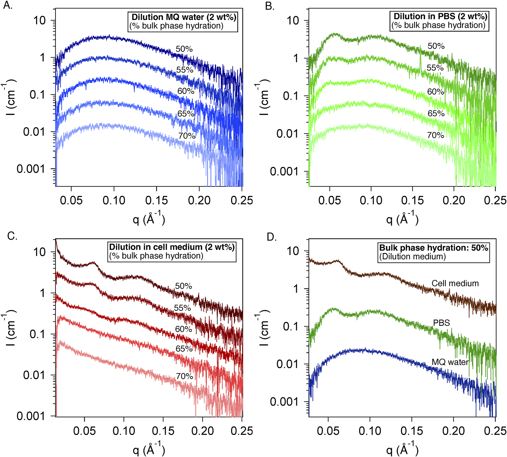 Four panel graph showing experimental data on bulk phase hydration at different concentrations. Panel A: Blue lines represent data for dilution in MQ water at varying hydration percentages (50% to 70%).Panel B: Green lines show dilution in PBS with similar hydration percentages.Panel C: Red lines depict dilution in cell medium.Panel D: Brown, green, and blue lines compare different dilution media at 50% hydration: cell medium, PBS, and MQ water, respectively. Each graph plots intensity (I) against q.