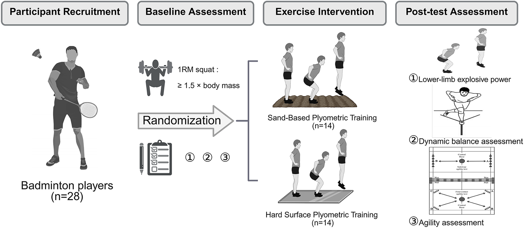 Flowchart illustrating a study design. Four phases: Participant Recruitment with 28 badminton players; Baseline Assessment includes a one-repetition maximum squat test; Exercise Intervention splits into Sand-Based and Hard Surface Plyometric Training, each with 14 participants; Post-test Assessment with three tests - Lower-limb explosive power, Dynamic balance, and Agility assessment.