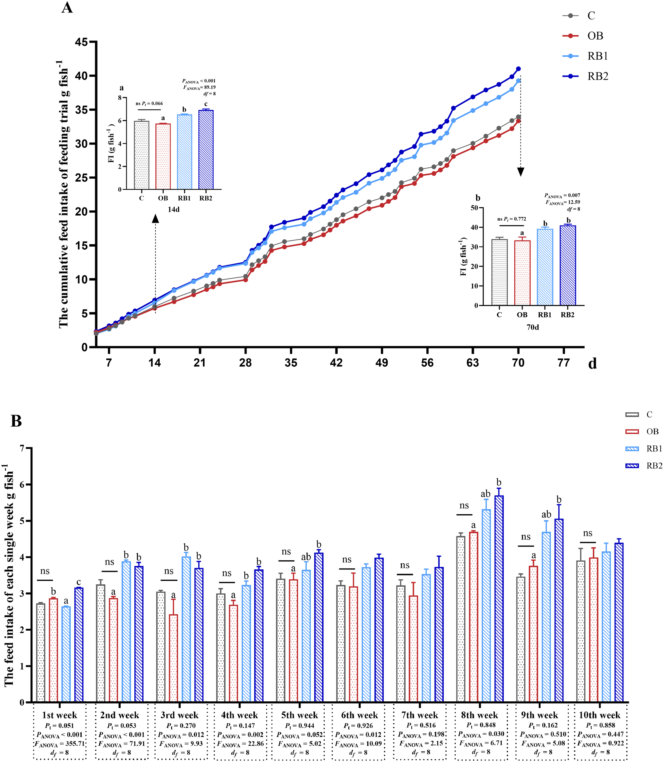 Graph A shows the cumulative feed intake of fish over time for four groups: C (gray), OB (red), RB1 (blue), and RB2 (dark blue). An inset bar chart compares feed intake at two time points, 14 and 70 days, with statistical significance indicated. Graph B presents weekly feed intake data for each group over ten weeks, with statistical markers for differences between groups.