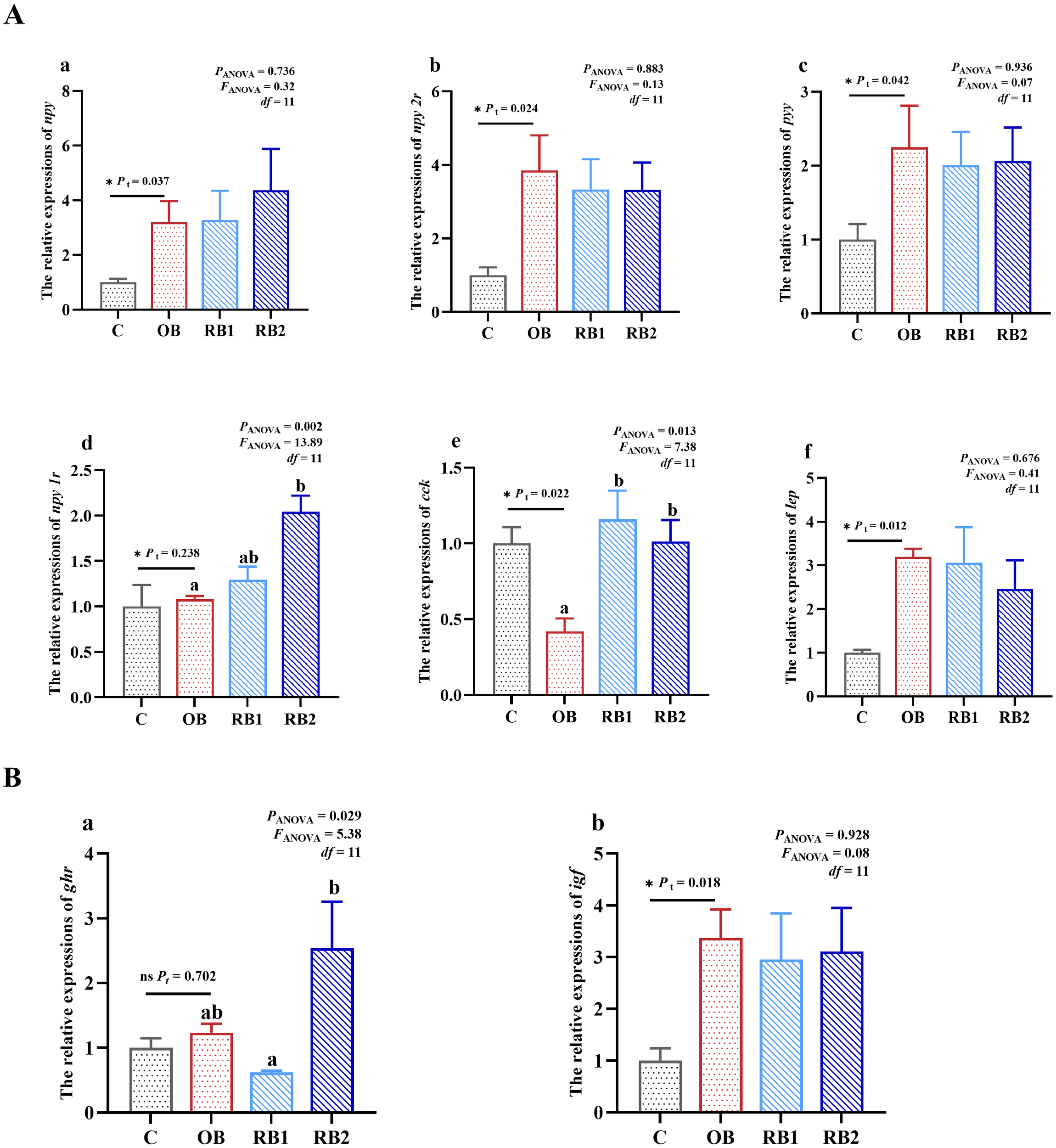Bar graphs labeled A and B compare the relative expression levels of various genes between groups C, OB, RB1, and RB2. Each graph displays statistical data, including P-values and F-values. Graphs a to f in section A show the relative expressions of myf5, myf7, myf8, myf11, eck, and ifg1, respectively. Graphs a and b in section B display the relative expressions of gf9r and ifg4. Significant differences are marked with letters or asterisks, highlighting variations between the groups.